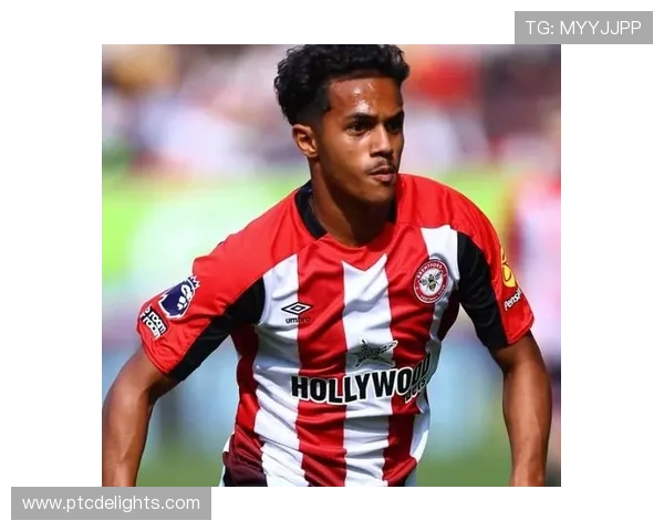 英超布伦特福德传奇 英超布伦特福德传奇