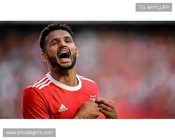 从本菲卡天才到亿元先生：菲利克斯的崛起之路